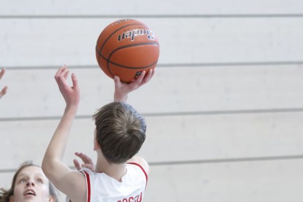 basketball-ll-305932611-B51B-4DC3-5FC7-F011774780F8.jpg