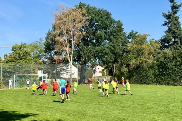 26-07-fussball50BCA6B7F-B083-9CC0-D7A1-919D88B70D19.jpeg